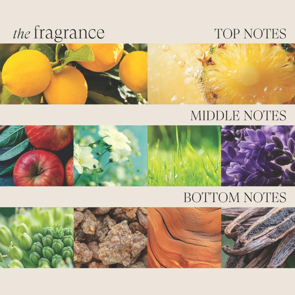 Miniatuur 6