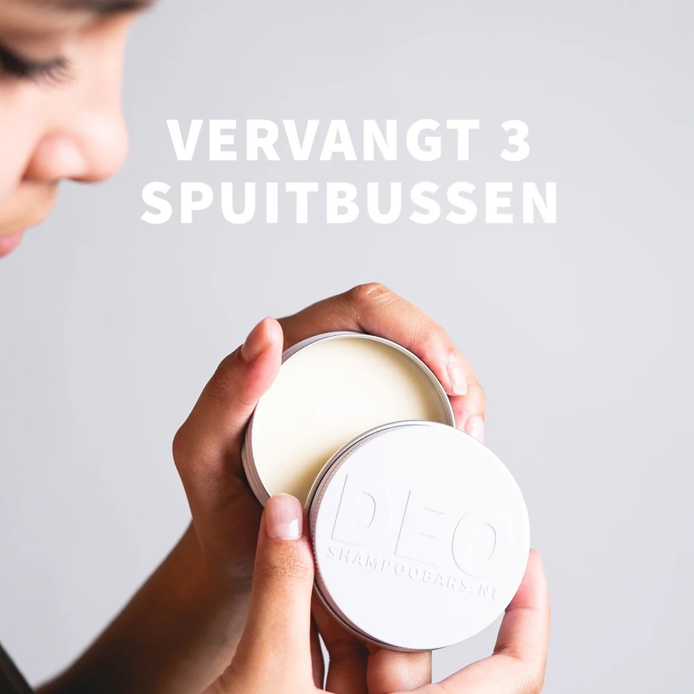 Miniatuur 5