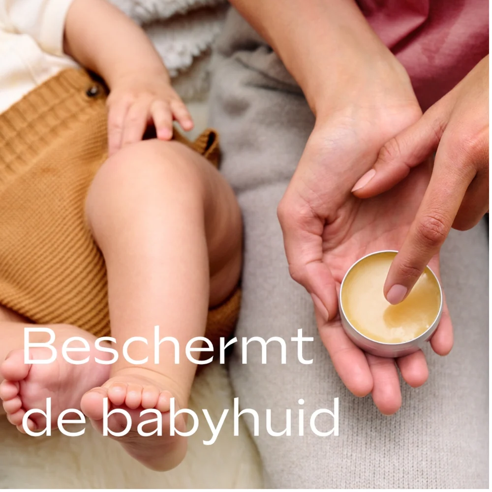 Miniatuur 6